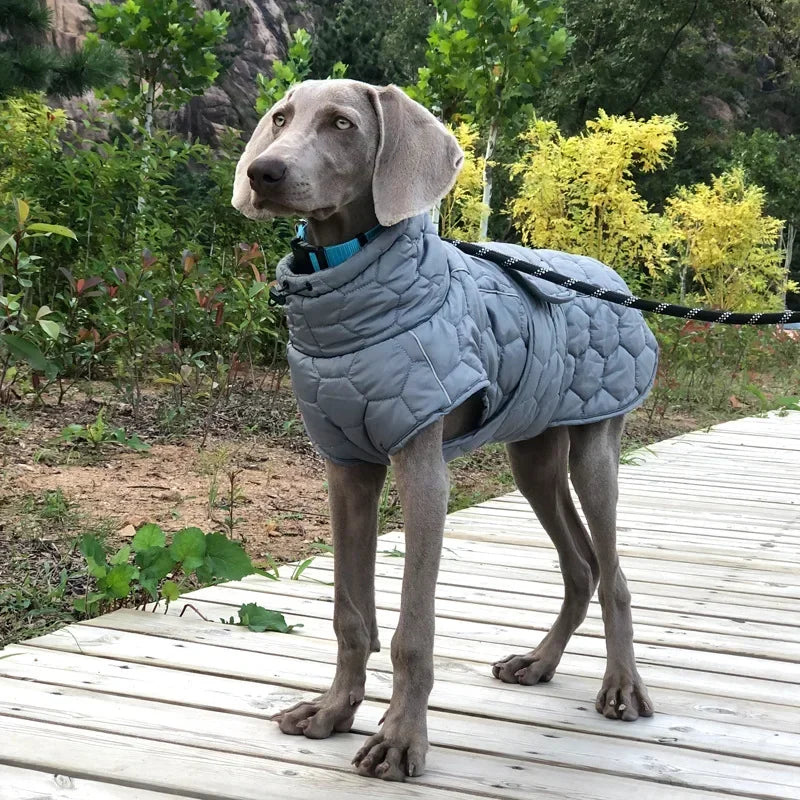 Winter Reflective Snowsuit For Large Dogs Waterproof Parka