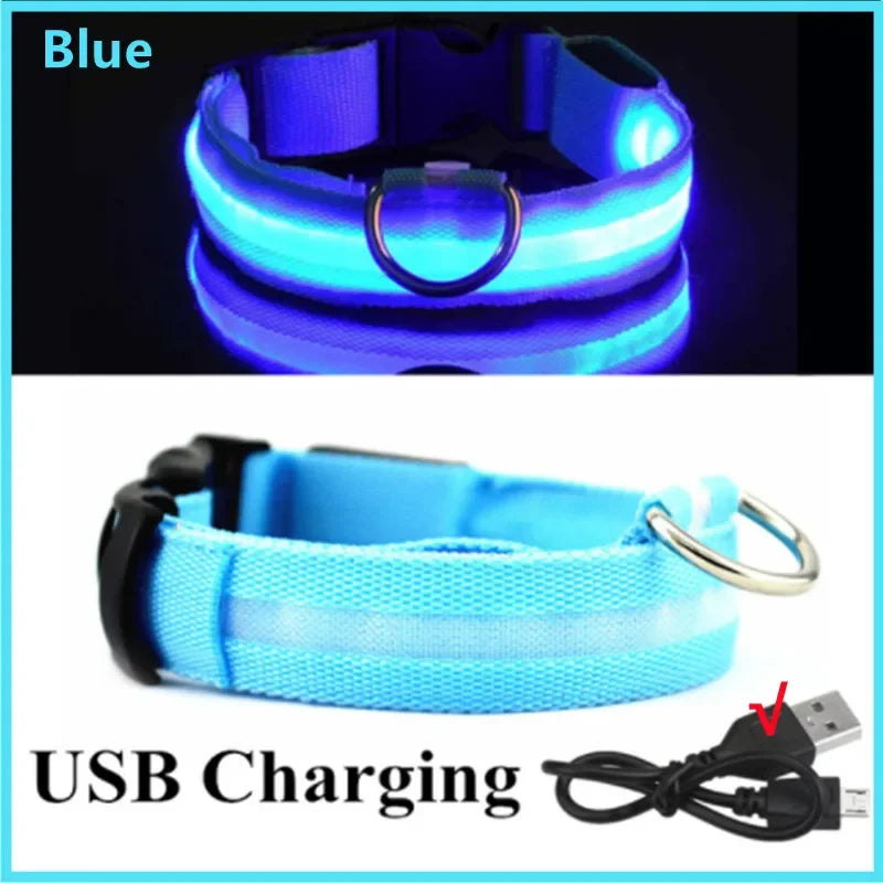 COOYOMOOCN Luminous USB Charge Collar For Dogs With Night Glow