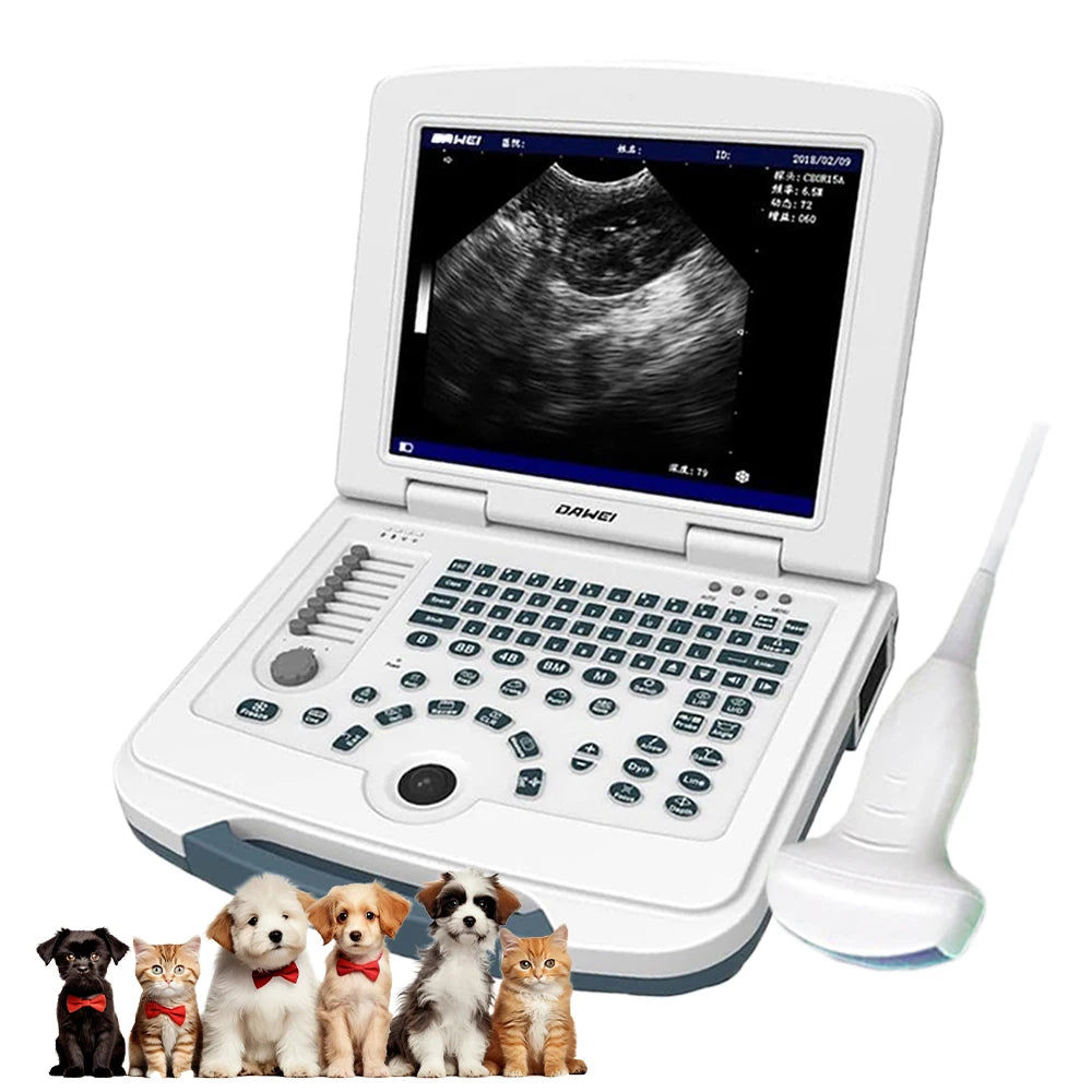 DAWEI Portable Veterinary Ultrasound Scanner For Animal Pregnancy