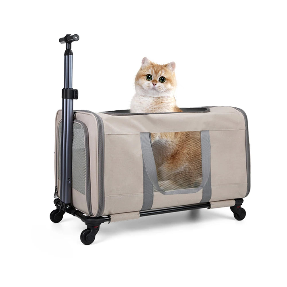 Cat Trolley for Two Cats with Wheels and Safety Belts
