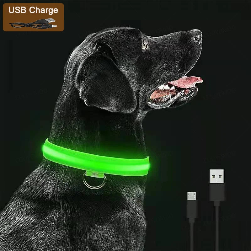COOYOMOOCN Luminous USB Charge Collar For Dogs With Night Glow