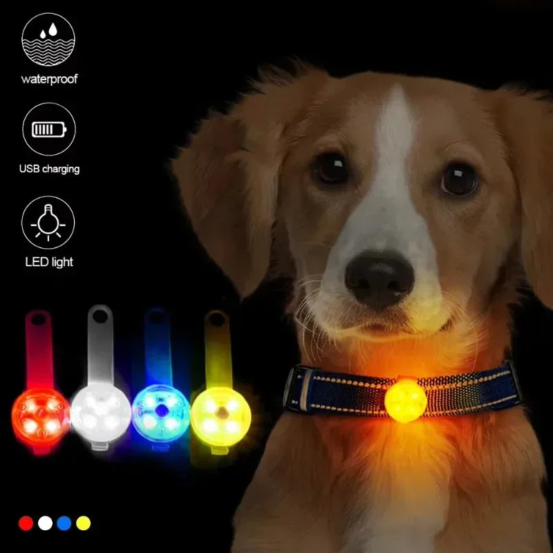 Guangdong LED Pet Tracking Luminous Pendant For Dogs