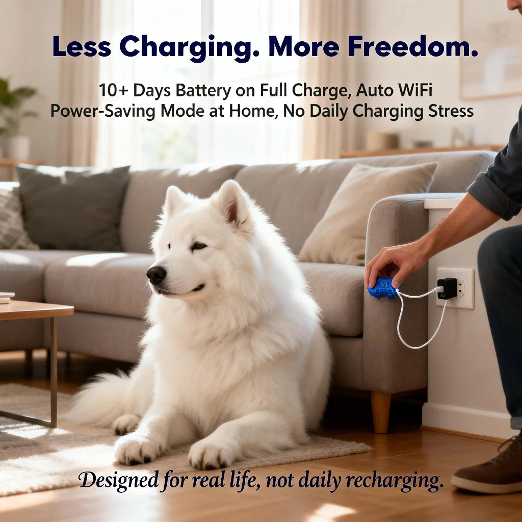 WANWAYTECH GPS Pet Tracker for Dogs and Cats RealTime Tracking