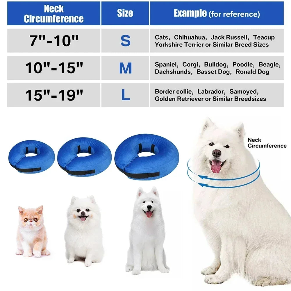 Guangdong Protective Inflatable Recovery Collar for Dogs and Cats