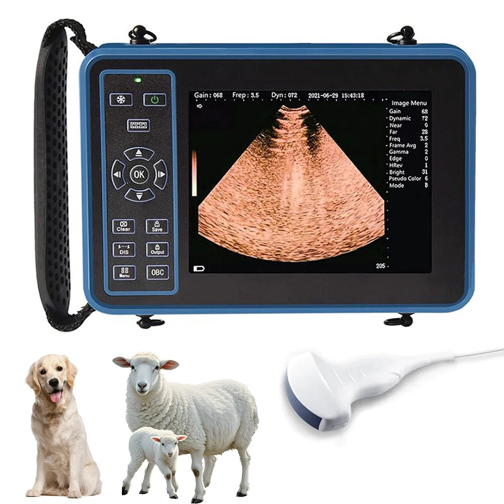 DAWEI Portable Veterinary Ultrasound Scanner With 3 Probes