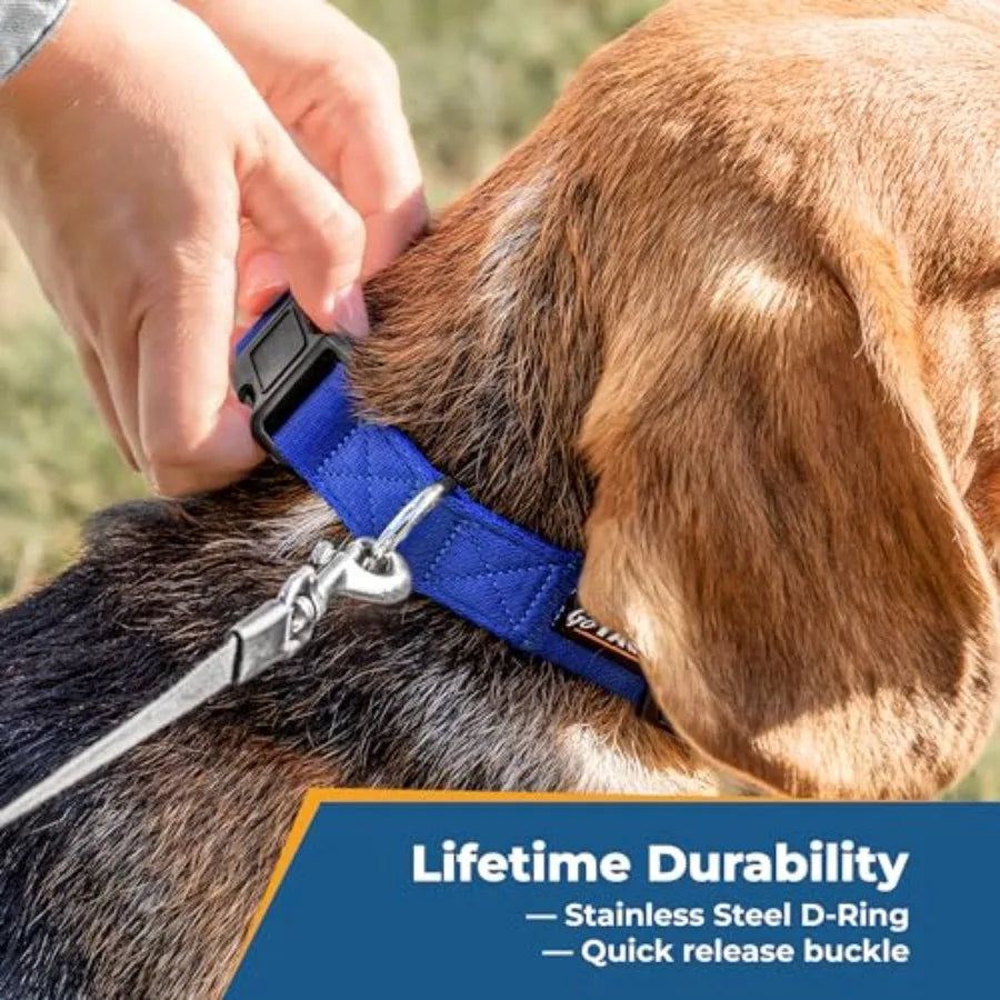 High-concerned Personalized Dog Collar With Pet Name And Phone Number