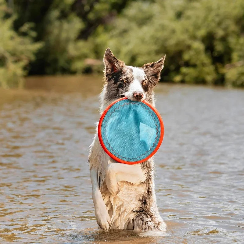 Paraflight Flying Disc Dog Toy Water Floating Nylon