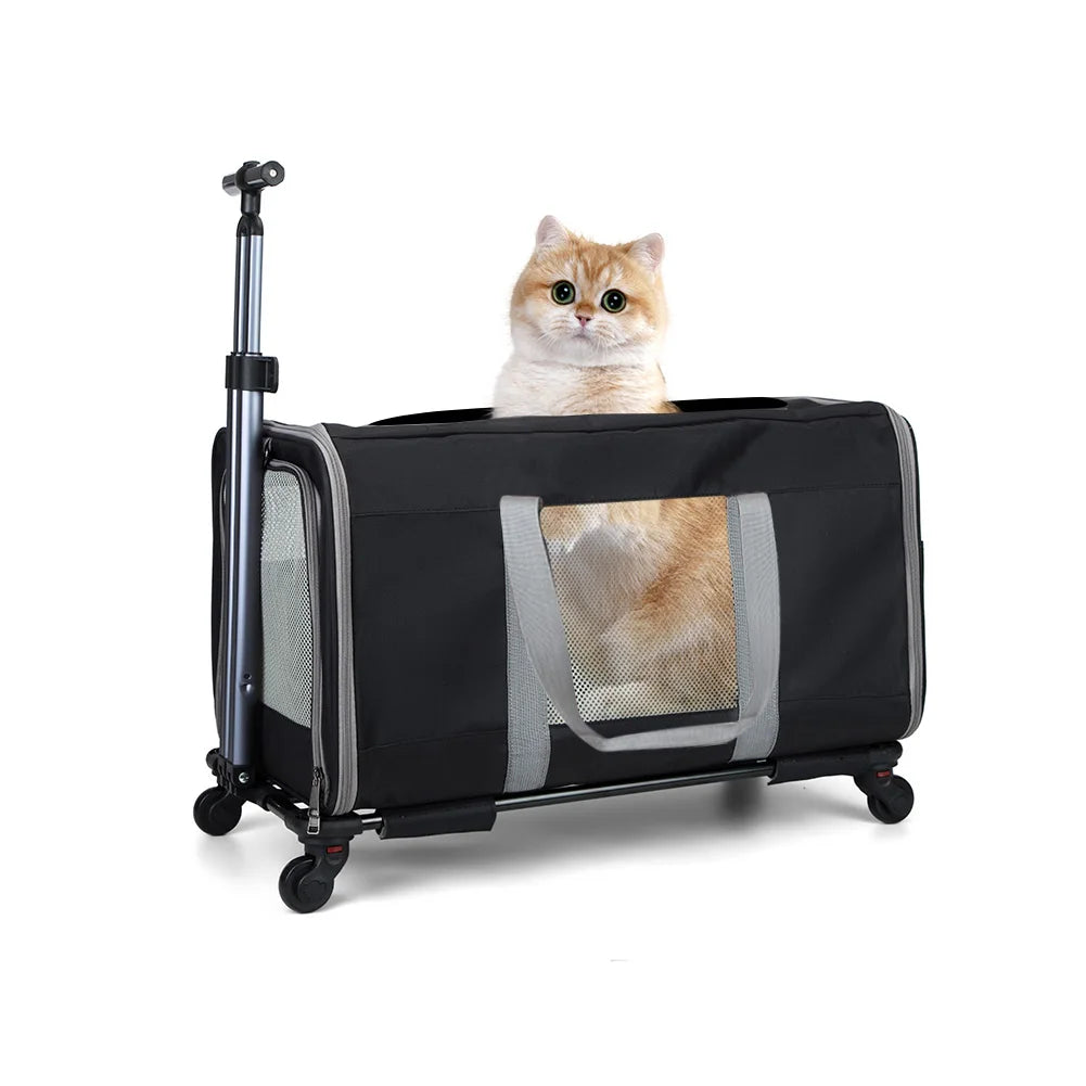Cat Trolley for Two Cats with Wheels and Safety Belts