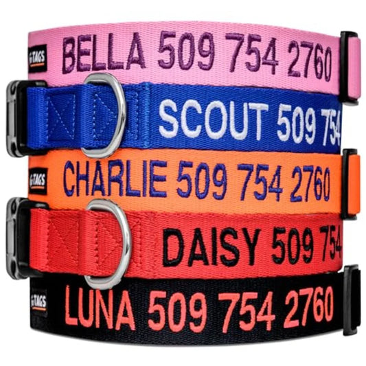 High-concerned Personalized Dog Collar With Pet Name And Phone Number