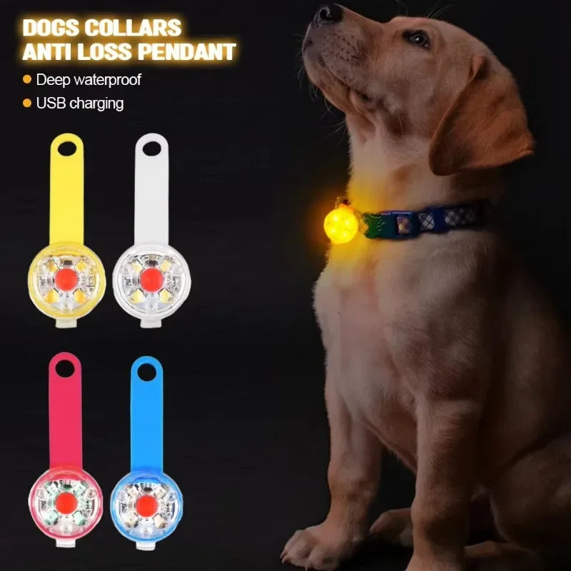Guangdong LED Pet Tracking Luminous Pendant For Dogs