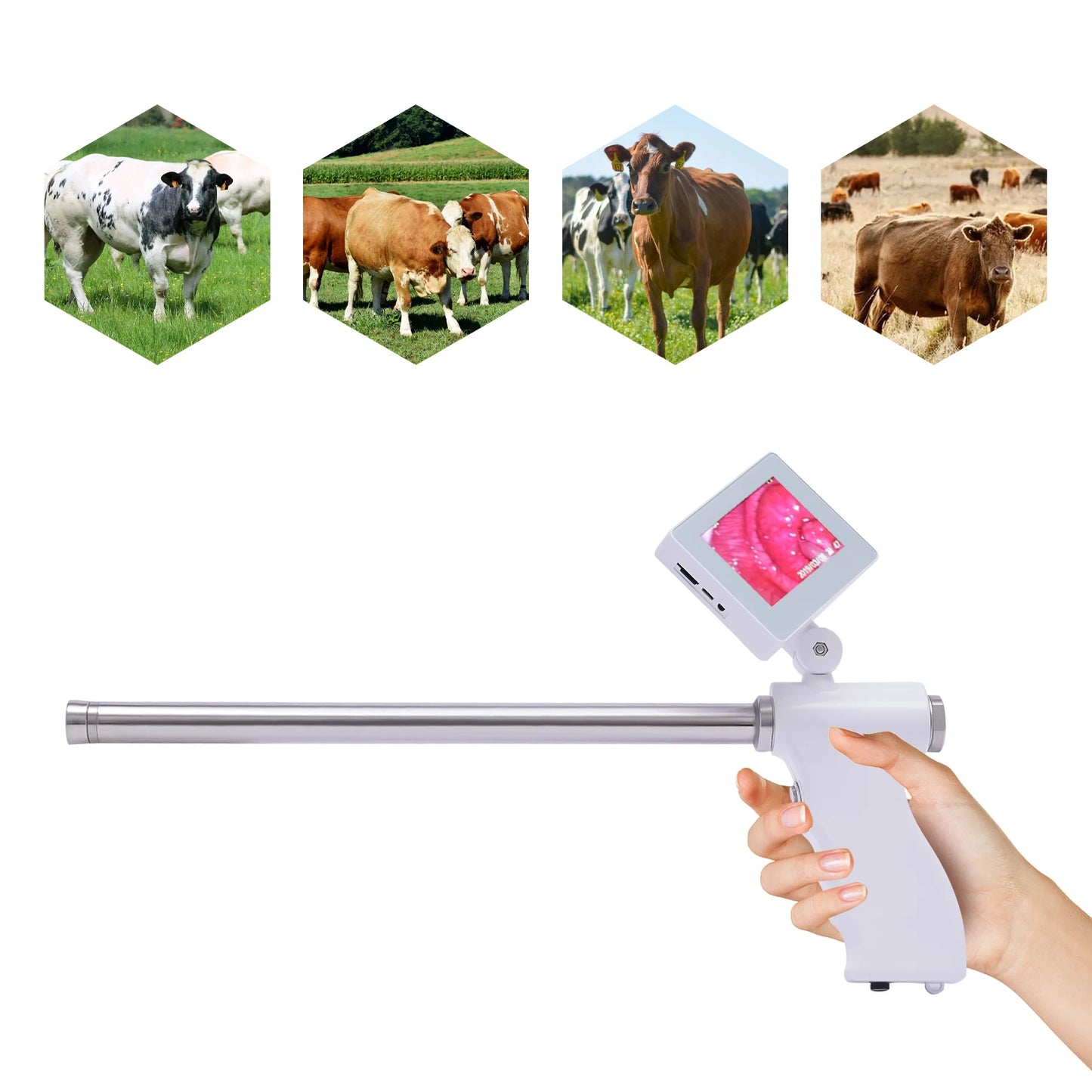 Bymaocar Cattle Visual Insemination Gun With Monitor