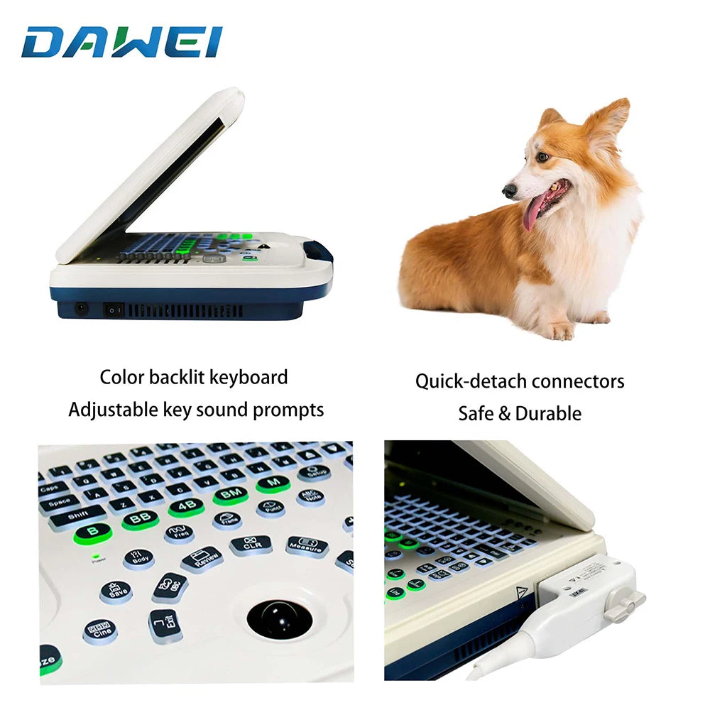 DAWEI Portable Veterinary Ultrasound Scanner For Animal Pregnancy
