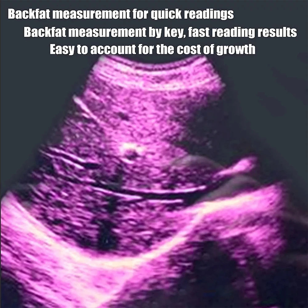 DAWEI Portable Veterinary Ultrasound Scanner With 3 Probes