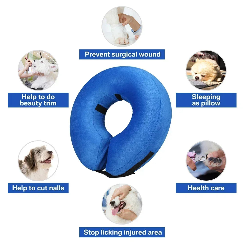 Guangdong Protective Inflatable Recovery Collar for Dogs and Cats