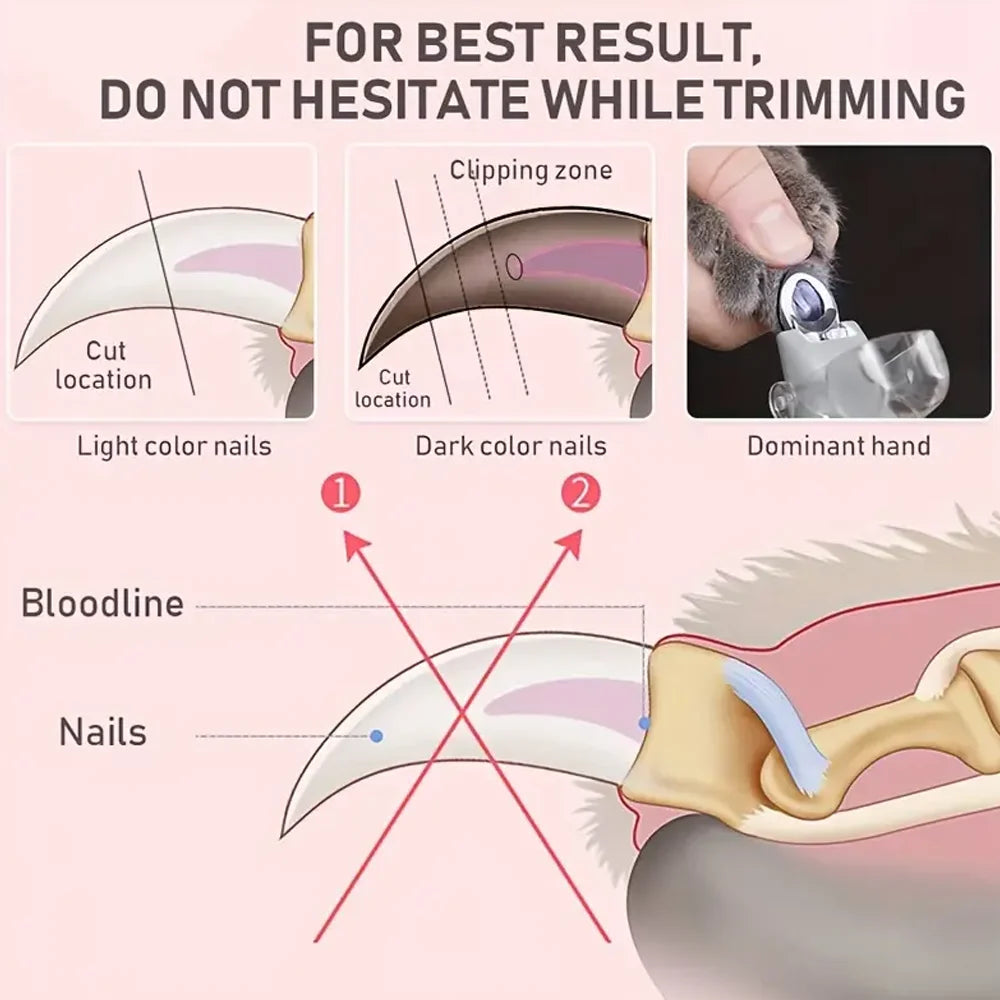 Led Light Magnified Pet Nail Clippers For Cats And Dogs