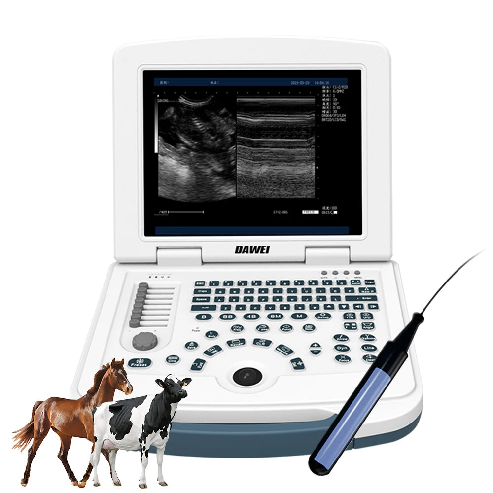 DAWEI Portable Veterinary Ultrasound Scanner For Animal Pregnancy