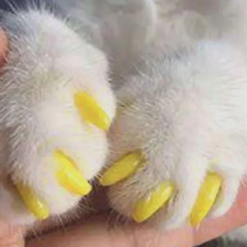 20pcs Colorful Cat Nail Caps Kit With Free Adhesive Glue