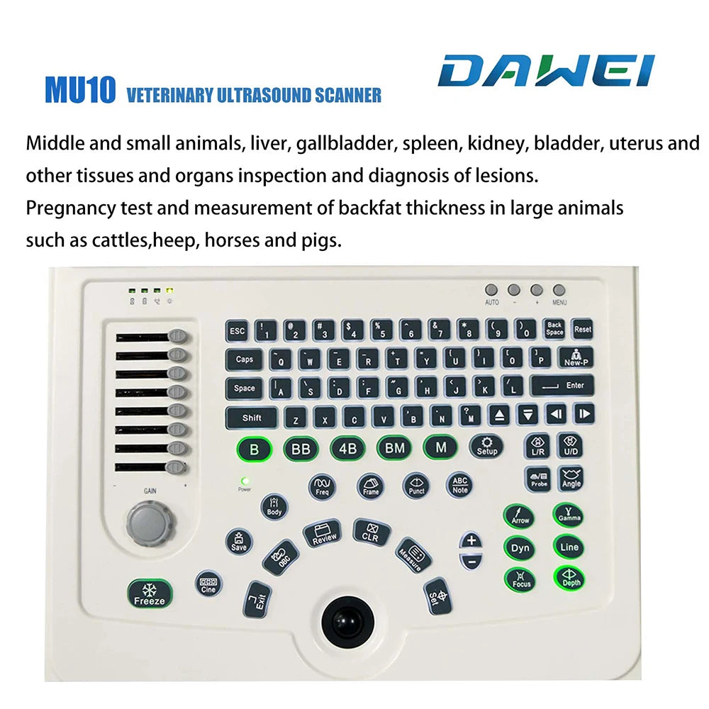 DAWEI Portable Veterinary Ultrasound Scanner For Animal Pregnancy