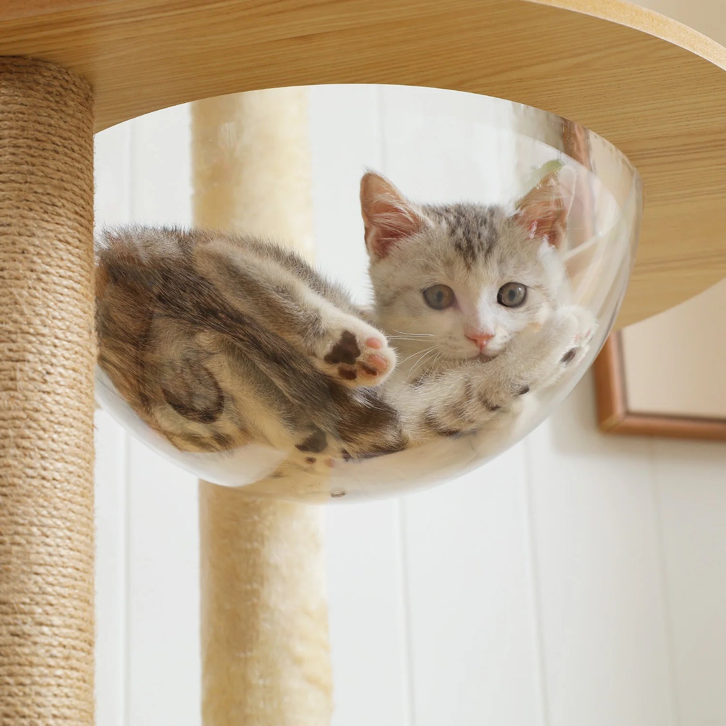 PAWZ Road Multi-Level Cat Tree Indoor Wood Tower Scratching Posts