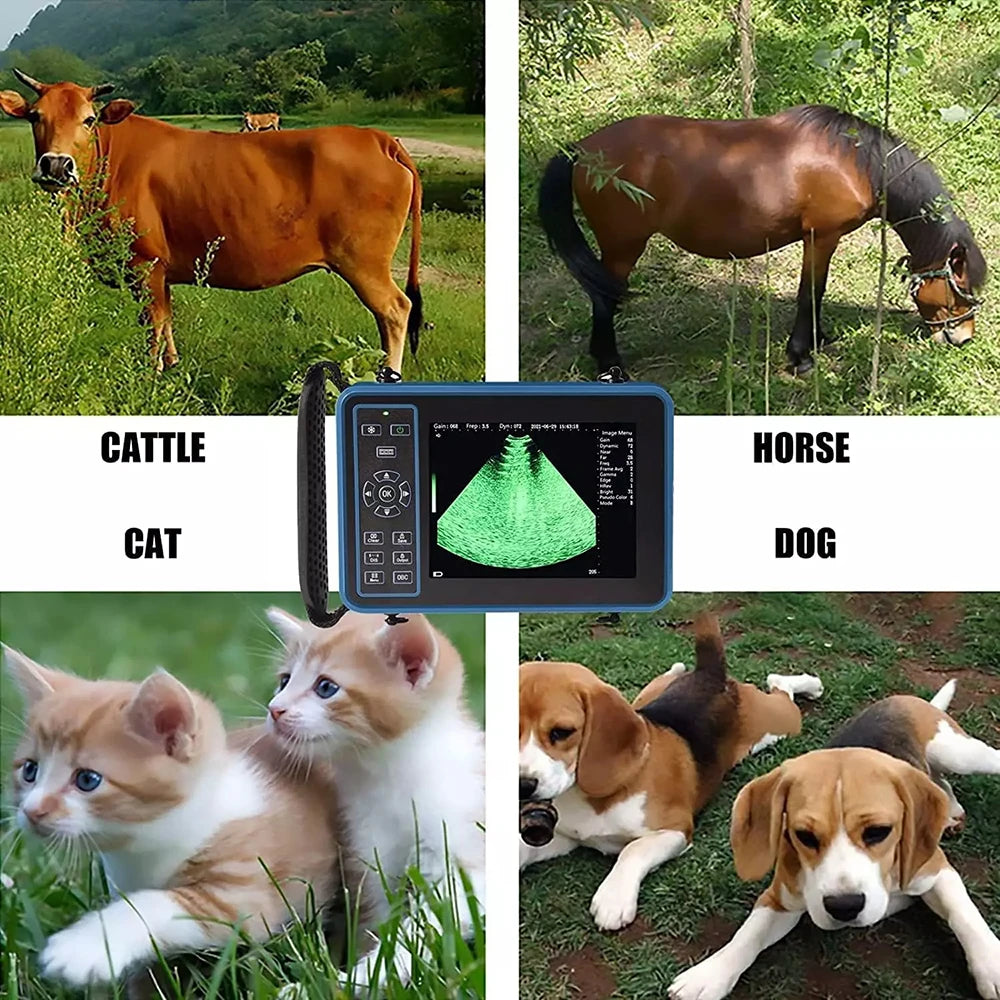 DAWEI Portable Veterinary Ultrasound Scanner With 3 Probes