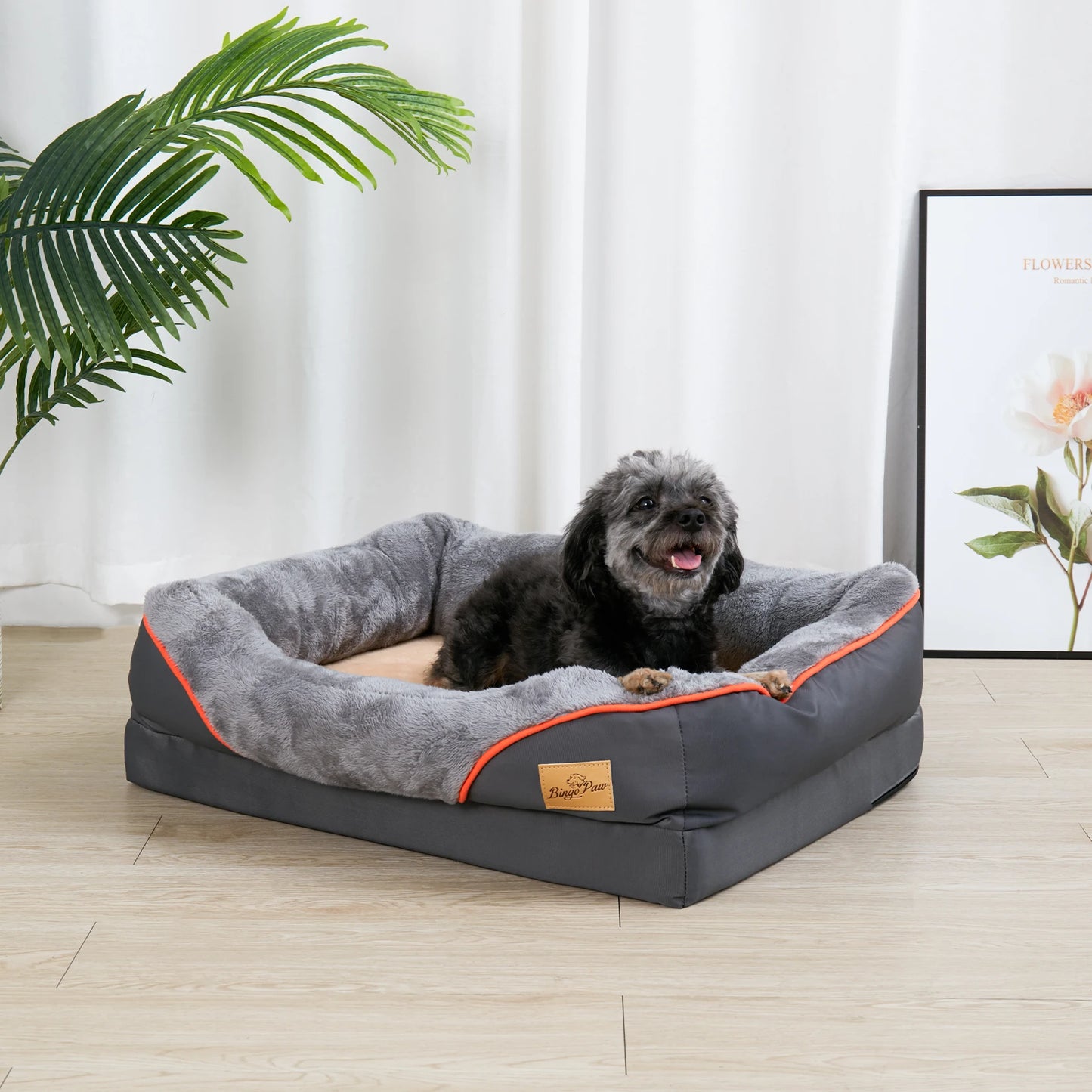 BINGOPAW Orthopedic Foam Dog Bed With Removable Cotton Cover