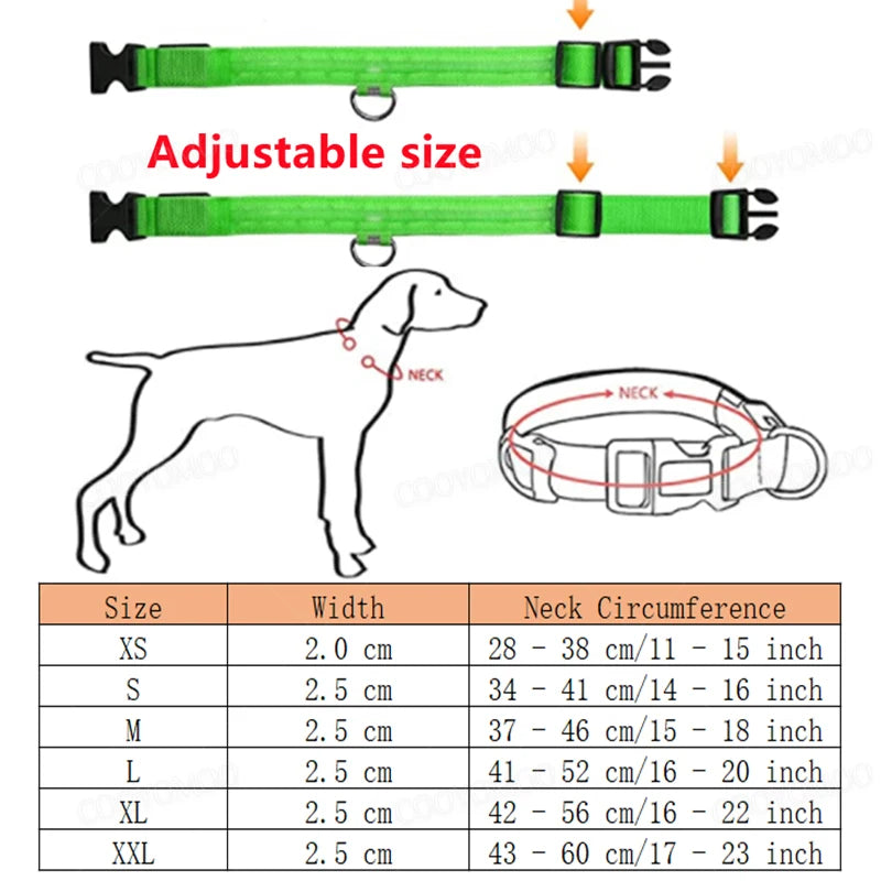 COOYOMOOCN Luminous USB Charge Collar For Dogs With Night Glow