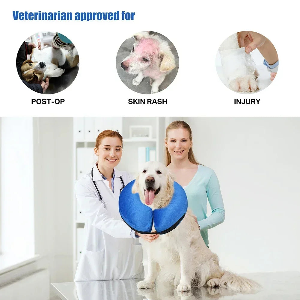 Guangdong Protective Inflatable Recovery Collar for Dogs and Cats
