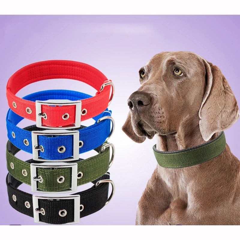 NONECN Solid Nylon Dog Collar For All Dogs Durable