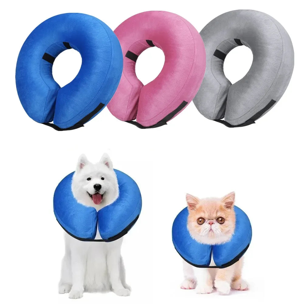Guangdong Protective Inflatable Recovery Collar for Dogs and Cats