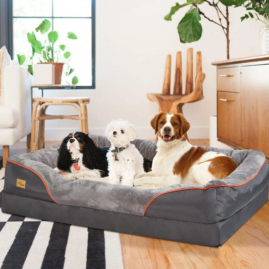 BINGOPAW Orthopedic Foam Dog Bed With Removable Cotton Cover