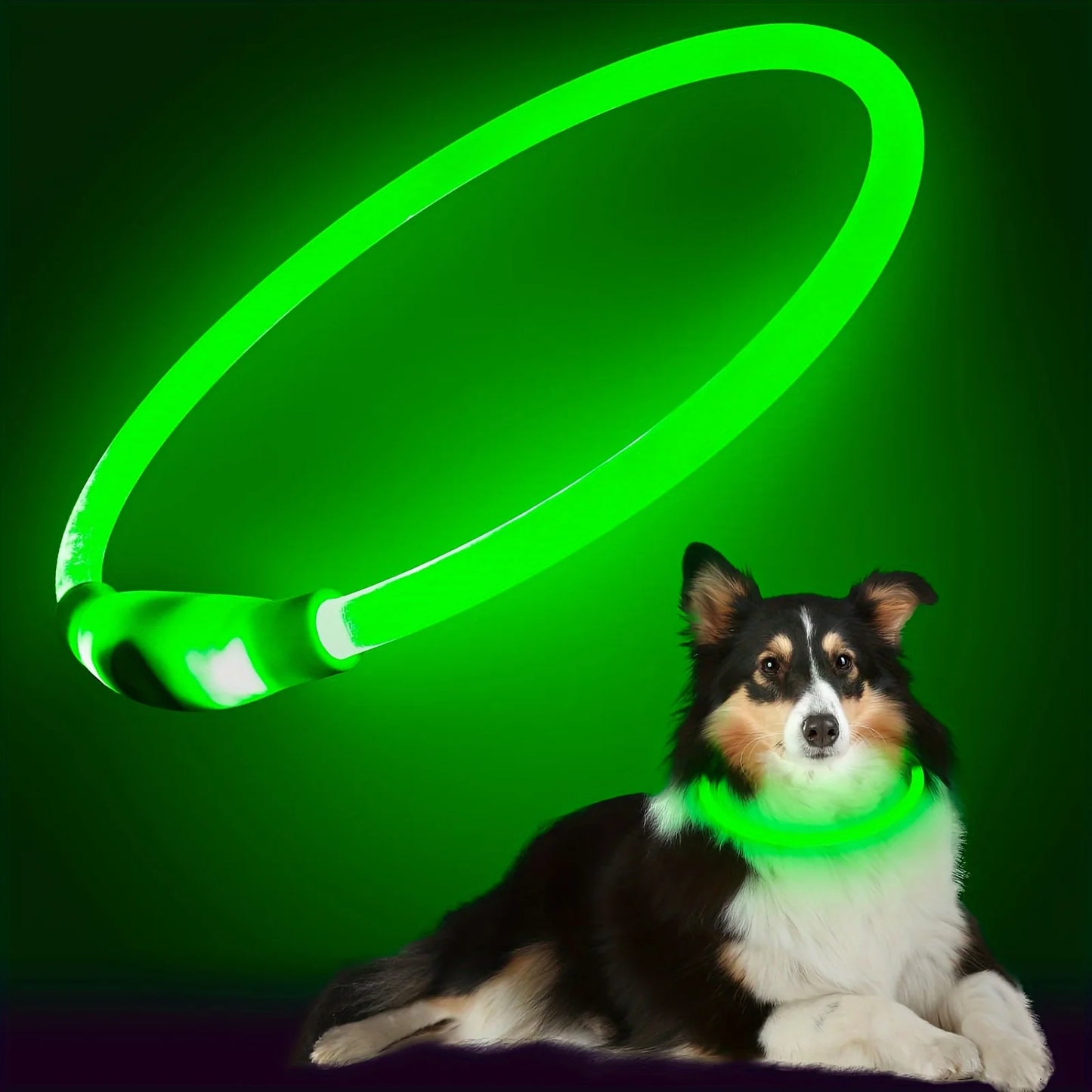 LED Dog Collar USB Rechargeable Anti Lost Reflective Nylon