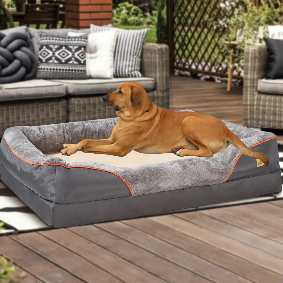 BINGOPAW Orthopedic Foam Dog Bed With Removable Cotton Cover
