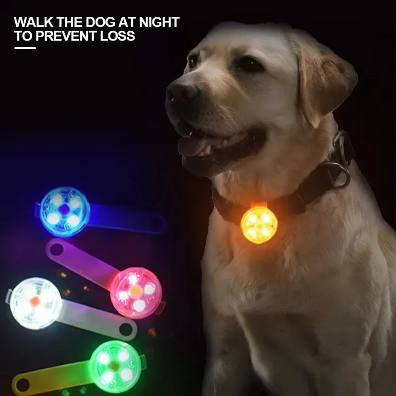 NONECN Weatherproof LED Cat And Dog Collar USB Rechargeable Light
