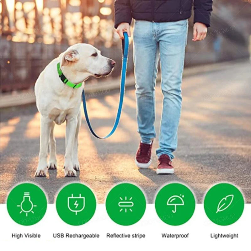 COOYOMOOCN Luminous USB Charge Collar For Dogs With Night Glow