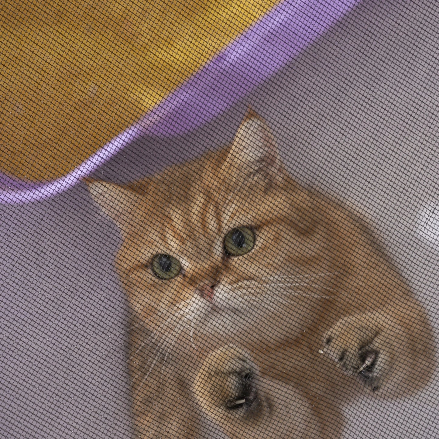 CN Foldable Mesh Ventilated Cat and Dog Nest Indoor Outdoor