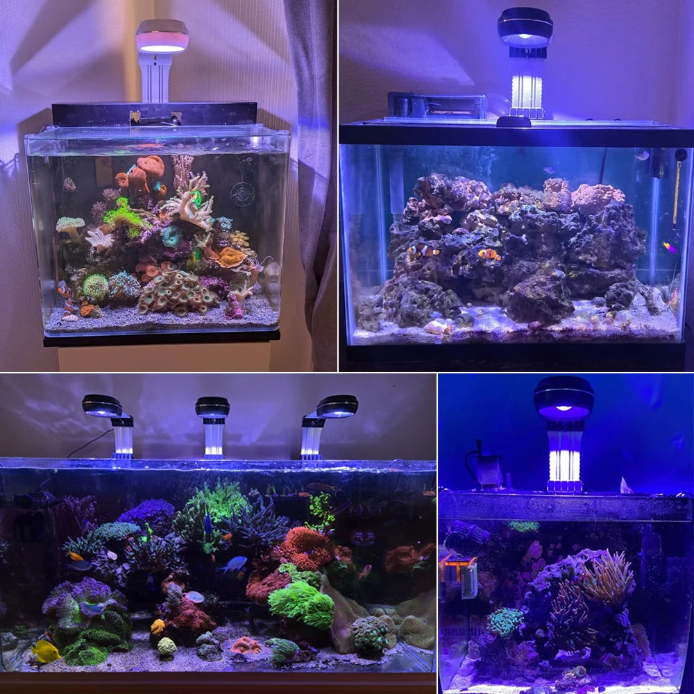 PopBloom Marine Reef Aquarium Light 60W 100W LED Lamp