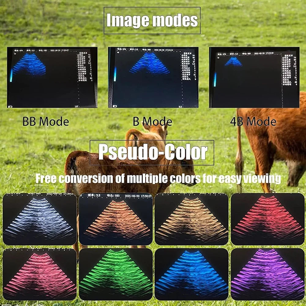 DAWEI Portable Veterinary Ultrasound Scanner With 3 Probes