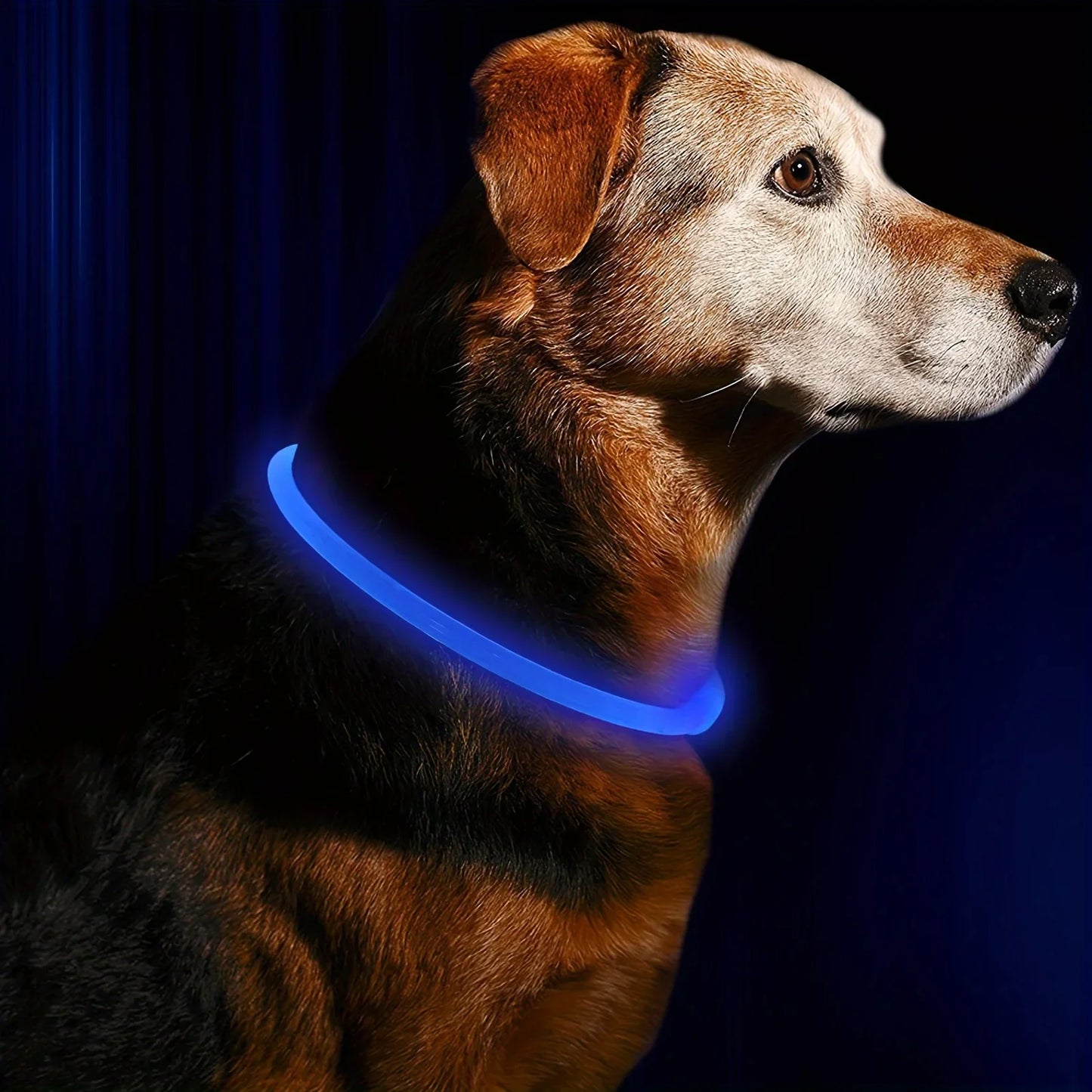 LED Light Dog Collar USB Rechargeable Reflective Nylon Necklace