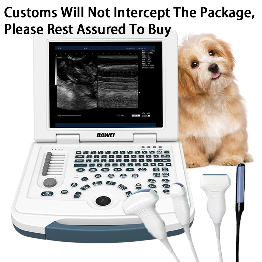 DAWEI Portable Veterinary Ultrasound Scanner For Animal Pregnancy