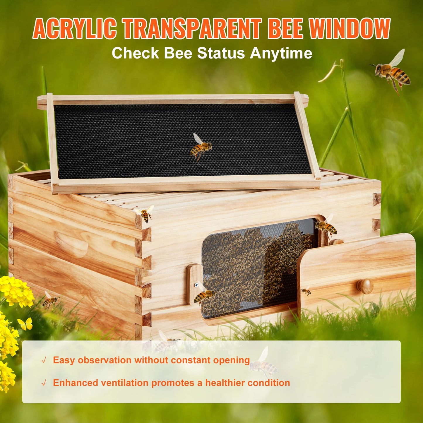 SucceBuy Cedar Beehive Langstroth Starter Kit with Acrylic Window