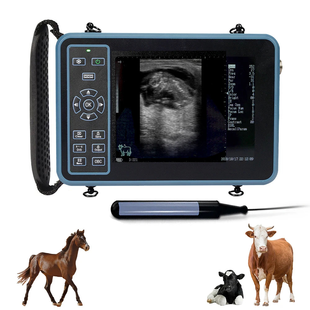 DAWEI Portable Veterinary Ultrasound Scanner With 3 Probes