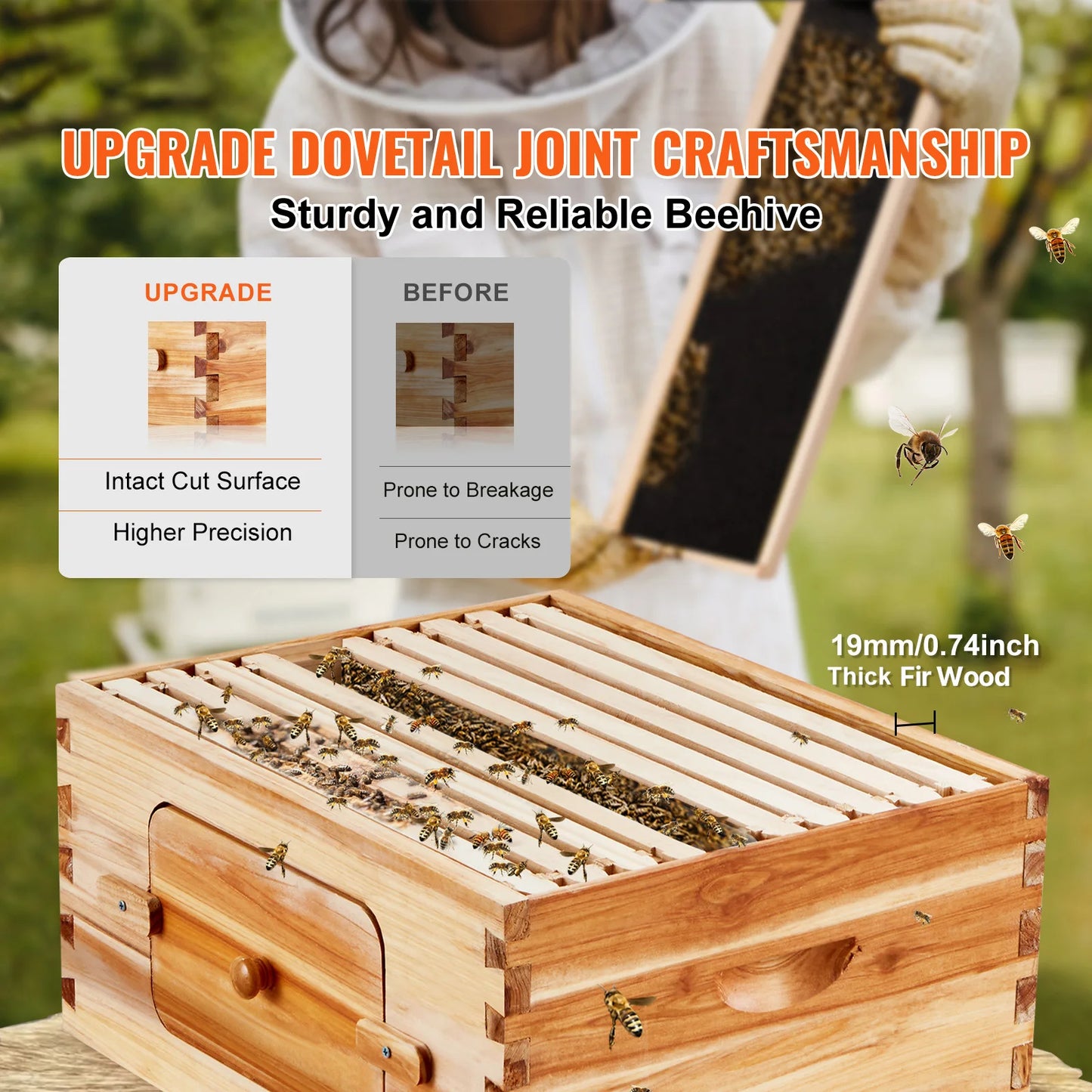 SucceBuy Cedar Beehive Langstroth Starter Kit with Acrylic Window
